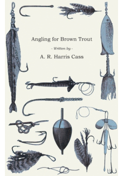 Angling for Brown Trout