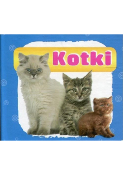 Harmonijka mała. Kotki w.2018 LITERAT