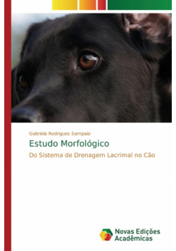 Estudo Morfológico