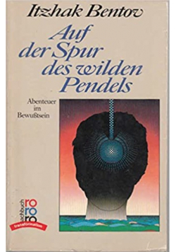 Auf der spur des wilden Pendels