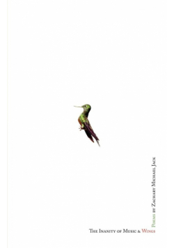 The Inanity Of Music And Wings