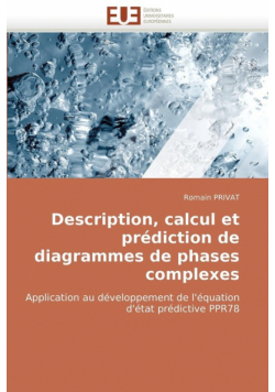 Description, calcul et prédiction de diagrammes de phases complexes