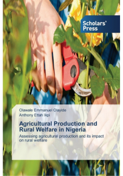 Agricultural Production and Rural Welfare in Nigeria