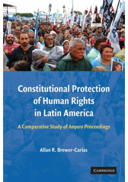 Constitutional Protection of Human Rights in Latin America