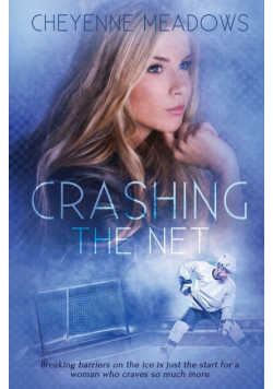 Crashing The Net