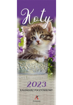 Kalendarz 2023 Pocztówkowy Koty ARTSEZON