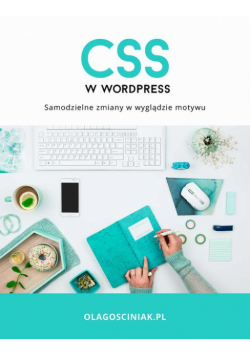 CSS w Wordpress. Samodzielne zmiany w wyglądzie motywu