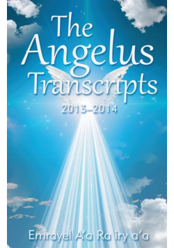 The Angelus Transcripts 2013-2104