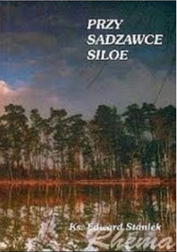 Przy sadzawce Siloe