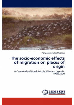 The Socio-Economic Effects of Migration on Places of Origin
