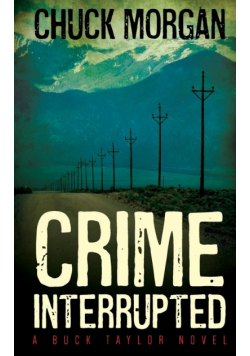 Crime Interrupted