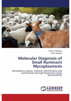 Molecular Diagnosis of Small Ruminant Mycoplasmosis