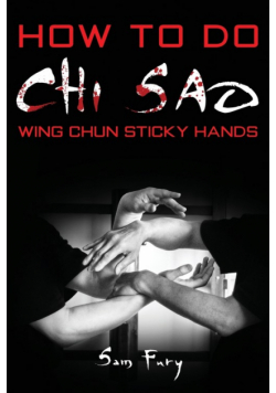 How To Do Chi Sao