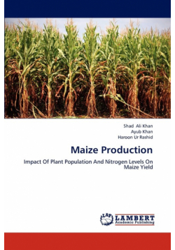 Maize Production