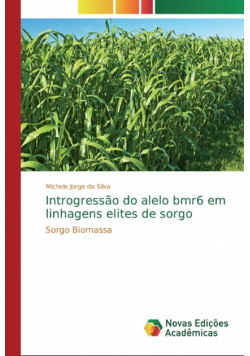 Introgressão do alelo bmr6 em linhagens elites de sorgo