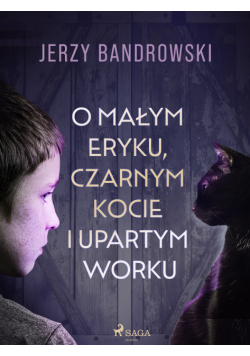 O małym Eryku, czarnym kocie i upartym worku