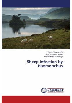 Sheep infection by Haemonchus