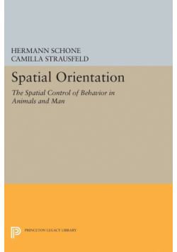 Spatial Orientation
