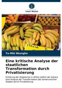 Eine kritische Analyse der staatlichen Transformation durch Privatisierung