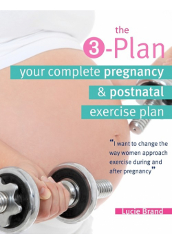 3-Plan