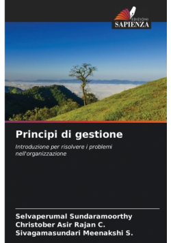 Principi di gestione