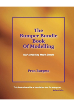 The Bumper Bundle Book of Modelling