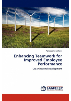 Enhancing Teamwork for Improved Employee Performance