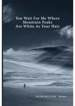 You Wait For Me Where Mountain Peaks Are White As Your Hair