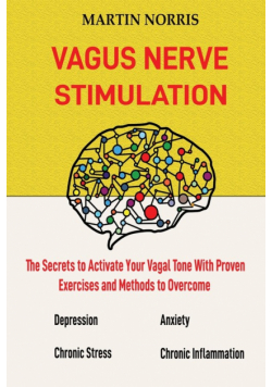 Vagus Nerve Stimulation