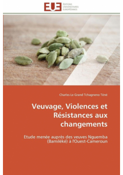 Veuvage, violences et résistances aux changements
