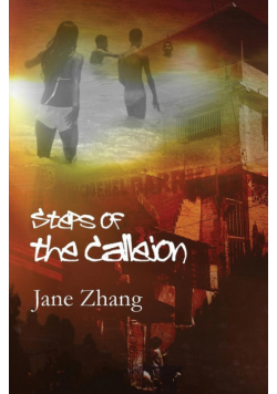 Steps of the Callejon
