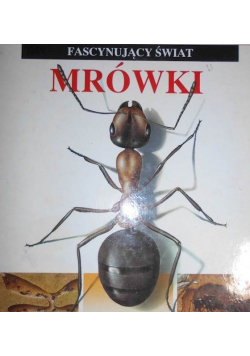 Fascynujący świat mrówki