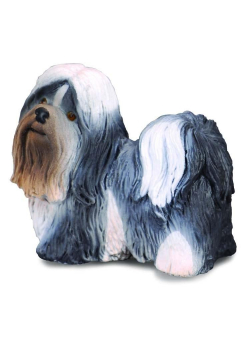 Pies spaniel cavalier king charles