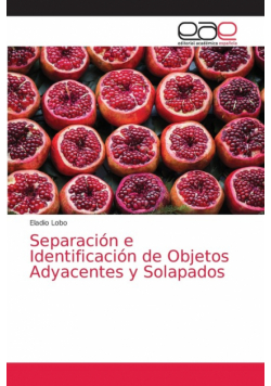Separación e Identificación de Objetos Adyacentes y Solapados