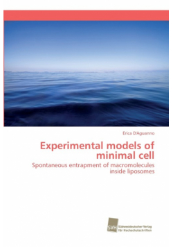 Experimental models of minimal cell