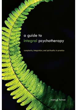 A Guide to Integral Psychotherapy