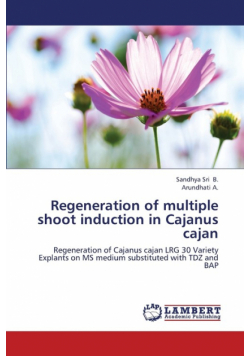 Regeneration of Multiple Shoot Induction in Cajanus Cajan
