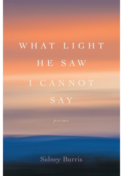 What Light He Saw I Cannot Say