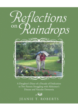 Reflections on Raindrops