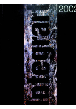 Integrart 2002