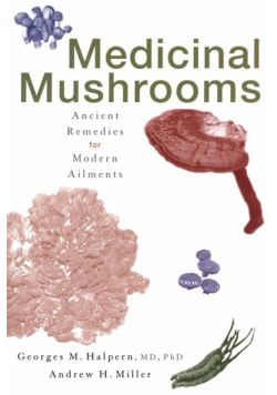 Medicinal Mushrooms