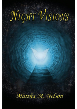 Night Visions