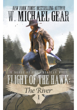 Flight Of The Hawk
