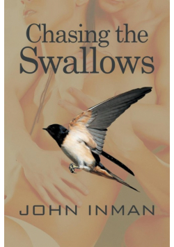 Chasing the Swallows