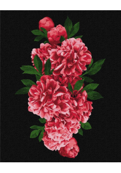 Malowanie po numerach - Namiętne piwonie 40x50cm