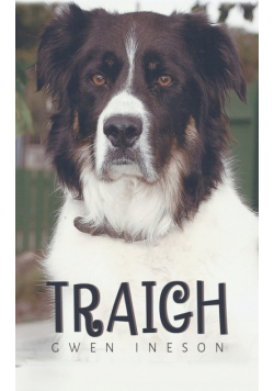 Traigh
