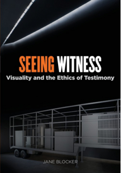 Seeing Witness