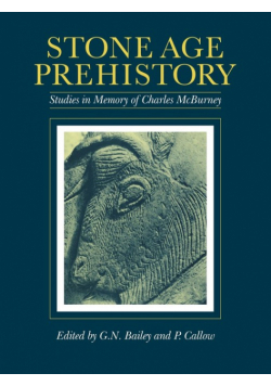Stone Age Prehistory