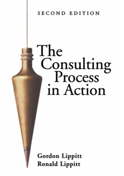 The Consulting Process in Action