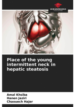 Place of the young intermittent neck in hepatic steatosis